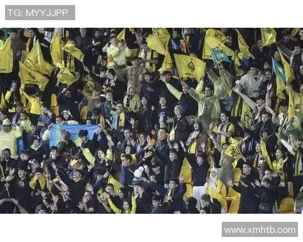 欧冠门票系统瘫痪数万球迷苦等12小时争抢梦寐以求的门票