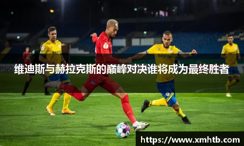 维迪斯与赫拉克斯的巅峰对决谁将成为最终胜者
